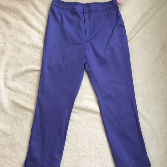 Debra Deroo purple pants, sz M, NWT $132.00 - Picture 1 of 8
